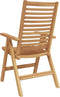 vidaXL - Tuinstoelen - 2 - stuks - Massief - Teakhout