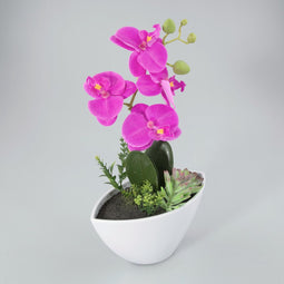 Orchidee in kunststof pot lavendel L