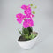 Orchidee in kunststof pot lavendel L