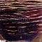 Linkin Park One More Light - LP - 7e studioalbum