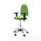 Piqueras y Crespo B2D05RF - Bureaustoel - Hoogteverstelbaar met armleuning - Pistache