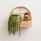 Cokos Mali rotan wandhanger