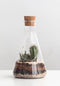 Suck UK Chemistry Terrarium Kit