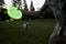 Zogoflex Zisc hondenfrisbee - L - Granny smith Groen