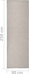 vidaXL - Buitenkleed - platgeweven - 80x250 - cm - taupe