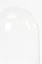 Mica Decorations Hella - Glazen Stolp - Handgemaakt - H23 x Ø17 cm - Zwart