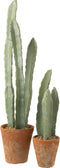 J-Line cactus 3 stuks in pot - kunststof - groen - large