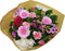 Boeket Kim Large Roze ↨ 45cm - bloemen - boeket - boeketje - bloem - droogbloemen - bloempot - cadeautje