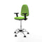 Piqueras y Crespo B2D05RP - Bureaustoel - Hoogteverstelbaar met armleuning - Pistache