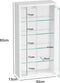 Vitrinekast staande hangende wandvitrine - 30 x 60 x 13 cm