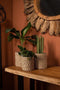 Mandenset - raffia/zeegras - naturel/wit - set van 3