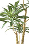 PTMD Tree Green Dieffenbachia Kunstplant - 87 x 36 x 122 cm - Plastic pot - Groen
