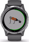 Garmin Vivoactive 4 - Smartwatch - GPS Hartslagmeter Pulse Ox - Zilver (Grijs)