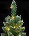 vidaXL - Kunstkerstboom - smal - met - 300 - LED's - 180 - cm