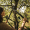 Fiskars L78 PowerGear II takkenschaar - Bypass - Snoeien tot Ø50mm