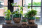 DBT Bloempot-Siervaas Groen-Multicolour D 28 cm H 20 cm