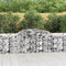vidaXL - Schanskorven - 6 - st - gewelfd - 300x50x80/100 - cm - gegalvaniseerd - ijzer