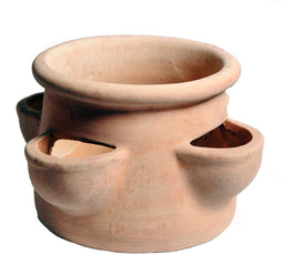 Whitewash Strawberry Pot 4 Cups D35H20 cm bloempot
