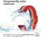 imoshion Elastisch nylon bandje - Universeel 20 mm aansluiting - Rainbow
