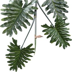 PTMD Kunsttak Philodendron - 140x52x181 cm - Plastic - Groen