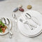 Villeroy & Boch Victor Bestekset - 68 delig - RVS - Zilver