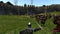 Tale Worlds Mount & Blade - Warband - PS4 - Open wereld RPG (2016)