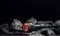 ArmyTek Bear Zaklamp werkt op een accu LED 1500 lm 135 g