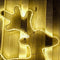 Anna's Collection - Neonverlichting - Spring Hert - 62 x 62 CM - Warm Wit