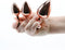 REAR ASSETS TRAINER KIT ROSE GOLD PINK