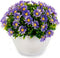 Ibergarden Decoratieve Plant Margriet Plastic 14 X 13 X 14 Cm (12 Stuks)
