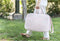 Luiertas Mi bollito Licht Roze 15 x 30 x 45 cm