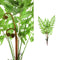 PTMD Fern Plant Varen Prikker - 55 x 34 x 68 cm - Groen
