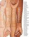 Clinique - Even Better Clinical Foundtation 30 ml - 114 Golden