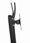 Gembird MS-D2-01 - Monitorstandaard - 2x Schermen tot 27