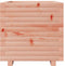 vidaXL - Plantenbak - 50x50x49,5 - cm - massief - douglashout