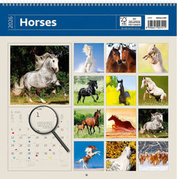 2026 Kalender schrijven 30 x 30 paarden - gratis 2025