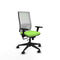 Piqueras y Crespo 3D066N0 - Bureaustoel - Verstelbare hoogte met armleuning - Pistache