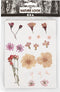Creativ Company Gedroogde Bloemen, Lichtroze, 1 Doos