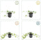 Plants by Frank | 24 Klimopplanten | Hedera helix 'Glacier' | Winterharde bodembedekker planten | tuinplanten | Winterharde vaste planten meerjarig | Winterharde tuinplanten