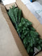 vidaXL - Kunstkerstboom - met - levensechte - naalden - 180 - cm - groen
