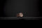 LEFF amsterdam - Tube Audio - Speaker - Draagbaar - Bluetooth - Koper