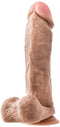 Realistische Dildo Blush Dr Skin PVC Ø 4,7 cm (19 cm)