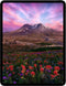 Apple iPad Pro 13