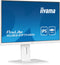 Iiyama ProLite XUB2497HSN-W2 - Monitor 23,8