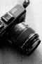 Panasonic Lumix G Macro-Elmarit 45mm f/2.8 - Prime Lens - MEGA O.I.S. - 1:1 vergroting