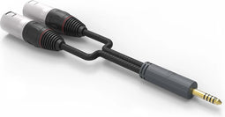 iFi Audio 4.4mm to XLR cable SE