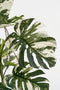 Mica Decorations Monsteraboom - Kunstplant - H140 x Ø120 cm - Groen