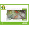 Set van Dinosaurussen Prehistoric Life (6 pcs)