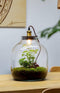 Growing Concepts Hebe Lamp 47cm / 34cm / Botanisch