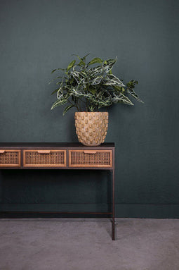 PTMD Leaves Plant Olifantsoor Kunsttak - 46 x 38 x 97 cm - Groen